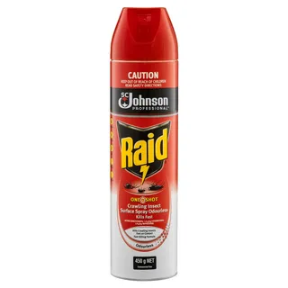 RAID ONESHOT CRAWLING INSECT SURFACE SPRAY ODOURLESS