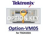 DECT modulation, requires option VM00