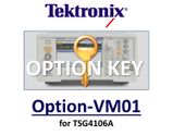 GSM modulation, requires option VM00