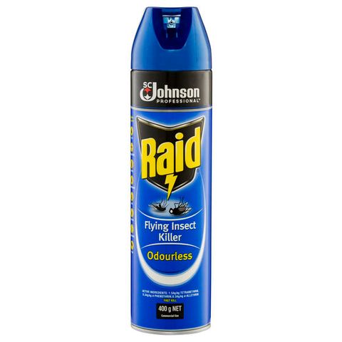 RAID INSECTICIDE FLY SPRAY 400G