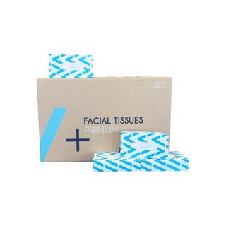 LIVI ESSENTIALS 2PLY FACIAL TISSUE 100SH