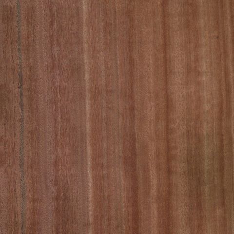 AMERICAN REDGUM QUARTER CUT DGB MDF 2400X1200 5MM