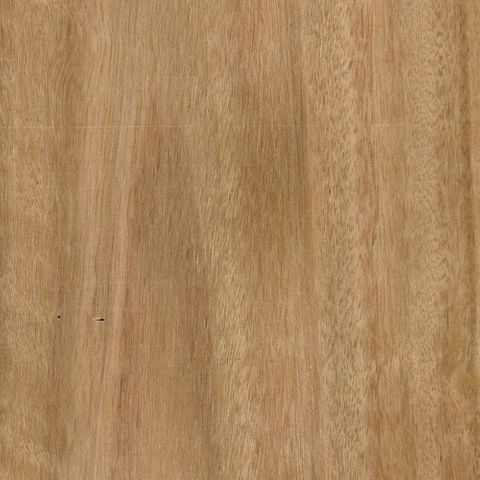 BLACKBUTT CROWN CUT G2S MRM
