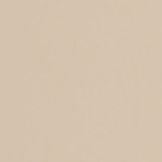 FORMICA BIRCH PEARL MRM 2400X1200 16MM
