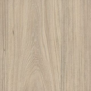 COASTAL ELM NATURALE MRM 2400X1200 16MM (456303)