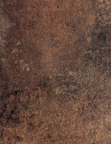 STYLELEX NEW OXIDE NAT WCC 2440X1220X18MM (STMPP9160)