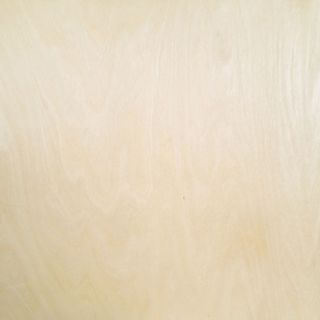 EURO BIRCH ROT DGB MRM 2400X1200 19MM