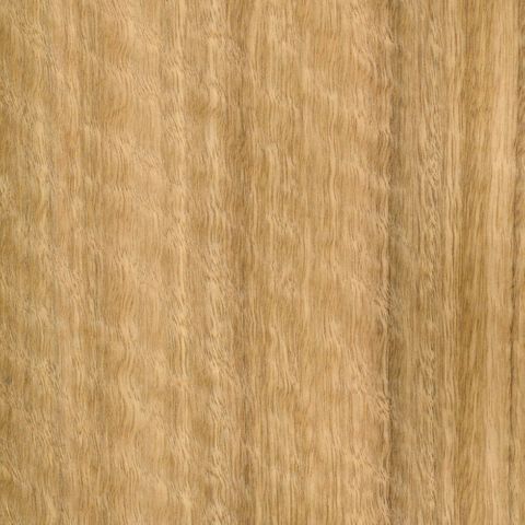 SPOTTED GUM QUARTER CUT DGB MRM