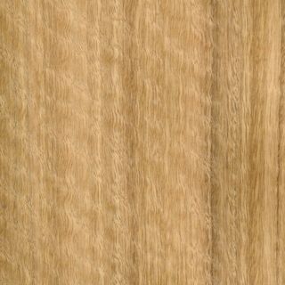 SPOTTED GUM QTR DGB MRM 3600X1200 19MM