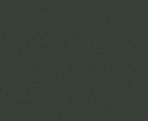 LMX ABSMATT OTWAY UNGLUED ABS EDGE