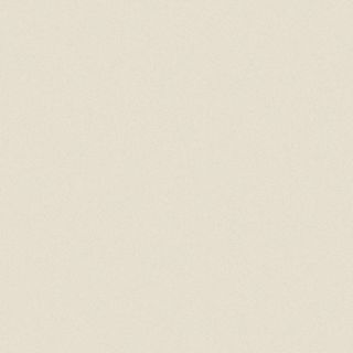 FORMICA BAIKAL PEARL UNGLUED ABS EDGE 025X22 1MM