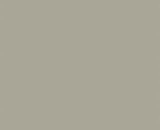 LMX BAYE NAT UNGLUED ABS EDGE 025X22 1MM