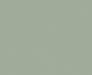 BAYLEAF STP UNGLUED ABS EDGE 100X22 1MM (102775)