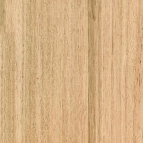 BLACKBUTT PREGLUED VENEER EDGE 50X22 0.6MM