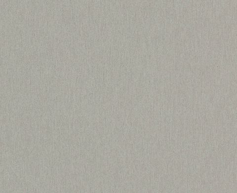 FORMICA BRUSHED SILVER GRAIN UNGLUED ABS EDGE 025X21 1MM