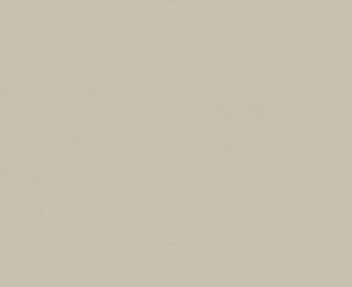 CHAMOIS NAT UNGLUED ABS EDGE 100X21 1MM