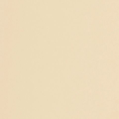 FORMICA CHAMPAGNE PEARL UNGLUED ABS EDGE