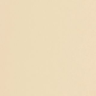 FORMICA CHAMPAGNE PEARL UNGLUED ABS EDGE 100X22 1MM