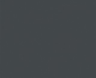 LMX CHARCOAL SATIN UNGLUED ABS EDGE 100X38 02MM