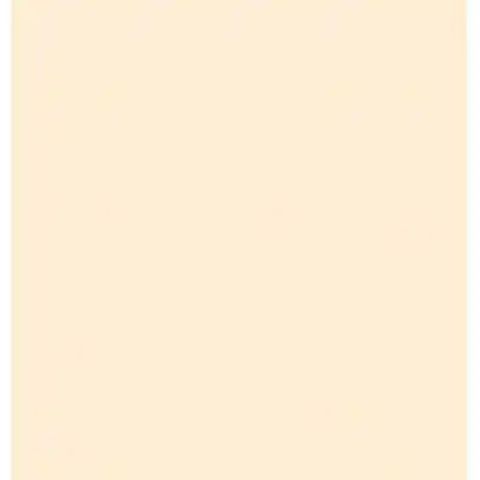 CLASSIC BEIGE NATURAL UNGLUED ABS EDGE 100X22 1MM