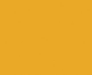 LMX COASTAL SUNRISE FLINT UNGLUED ABS EDGE 025X21 1MM (400933)