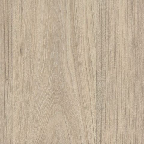 COASTAL ELM NATURAL UNGLUED ABS EDGE 100X22 1MM (111297)
