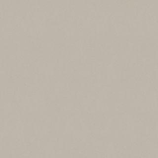 FORMICA DAWN GREY PEARL UNGLUED ABS EDGE 025X22 1MM