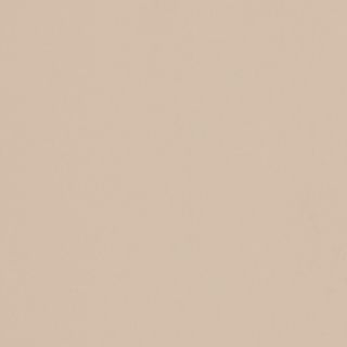 FORMICA DOESKIN PEARL UNGLUED ABS EDGE 025X22 1MM