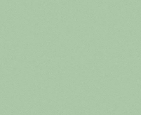 ENAMEL NATURAL UNGLUED ABS EDGE 025X22 1MM