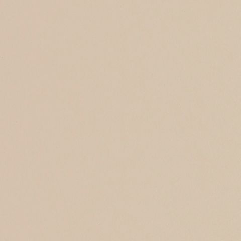 FORMICA BIRCH STIPPLE UNGLUED ABS EDGE 025X21 1MM