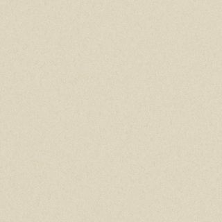 FORMICA FINESSE SAND VEL UNGLUED ABS EDGE 100X22 1MM