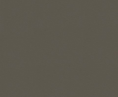 FOSSIL NATURAL UNGLUED ABS EDGE