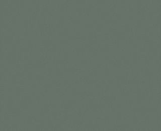 GREEN SLATE NAT UNGLUED ABS EDGE 025X21 1MM