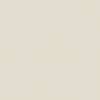 IVORY VEL UNGLUED ABS EDGE 100X21 1MM (116078)
