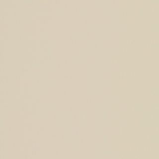 FORMICA MIST GREY GLOSS UNGLUED ABS EDGE 100X22 1MM