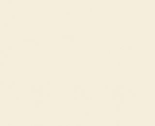 MOLESKIN NAT UNGLUED ABS EDGE 025X22 1MM