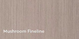 MUSHROOM F/LINE SAT UNGLUED ABS EDGE 100X21 1MM (100113)