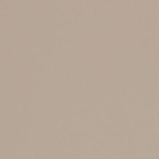 FORMICA MULGA PEARL UNGLUED ABS EDGE 100X22 1MM