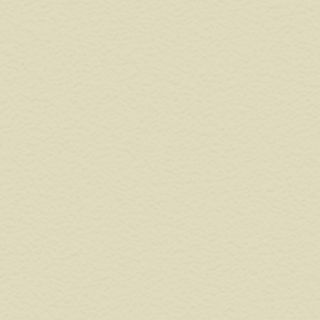 FORMICA OLIVETTE VEL UNGLUED ABS EDGE 100X21 1MM