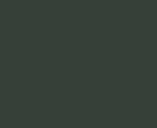 OTWAY FLINT UNGLUED ABS EDGE 100X22 1MM (116528)