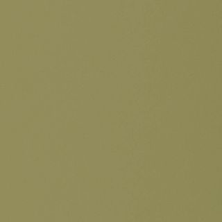 LMX OLIVINE STP UNGLUED ABS EDGE 100X22 1MM (115704)