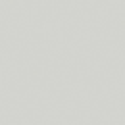 OYSTER GREY MATT UNGLUED ABS EDGE 100X22 1MM (111366)