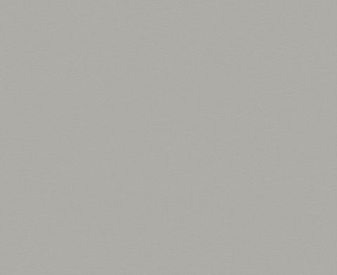 PEWTER STIPPLE UNGLUED ABS EDGE 025X21 1MM