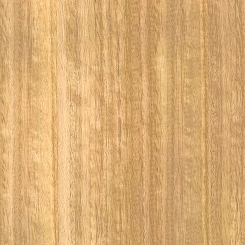 PLANT OAK UNGLUED VENEER EDGE 100X22 0.6MM