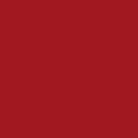 PRIMARY RED UNGLUED ABS EDGE 100X21 1MM (107256)