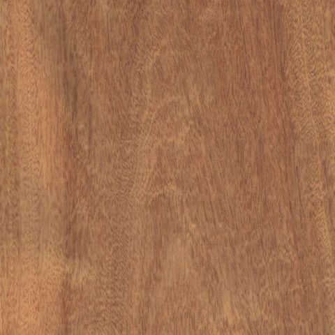 SAPELE UNGLUED VENEER EDGE 100X22 0.6MM