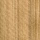 SPOTTED GUM UNGLUED VENEER EDGE