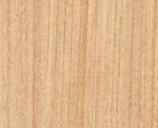 SILVER ASH NAT UNGLUED ABS EDGE 100X22 1MM (100099)