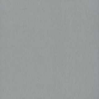 SILVER HAZE SAT UNGLUED ABS EDGE 100X22 1MM  (107094)