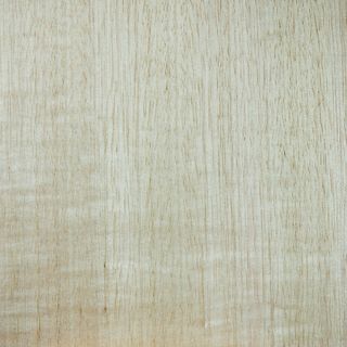 TAS ASH UNGLUED VEN EDGE 100X22 0.6MM